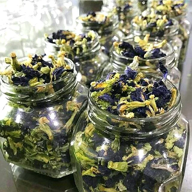 Vietnam Best Product Organic Healthy Slimming Dried Butterfly Pea Flower Tea 100g with the Best Price!!!