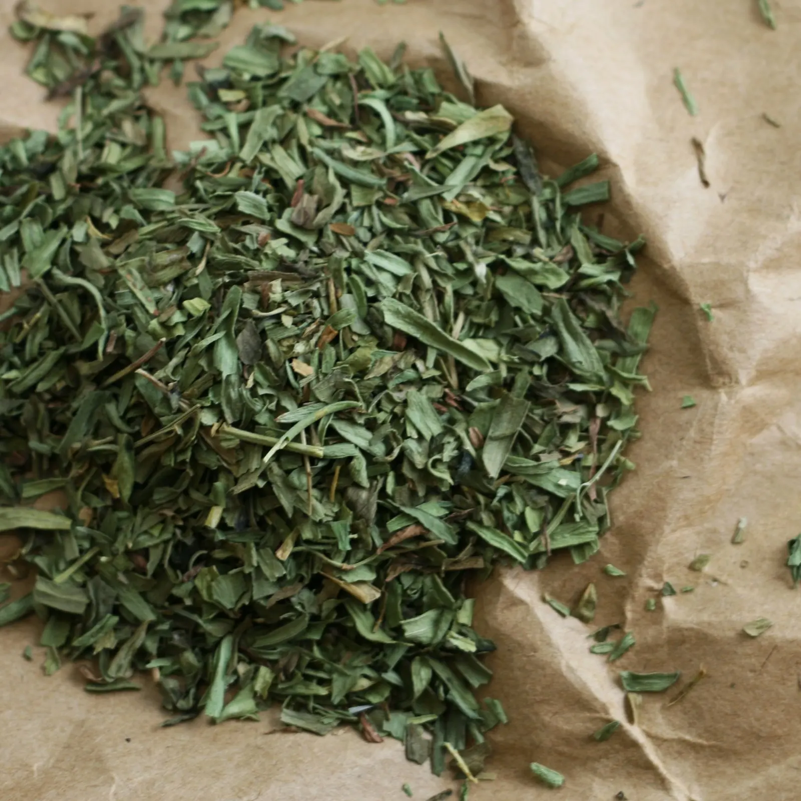 High Quality Tarragon Spices and Herbs High Quality