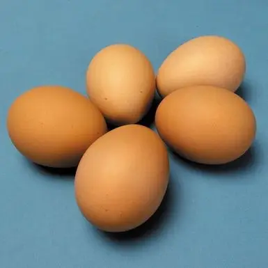 Fresh brown shell eggs.