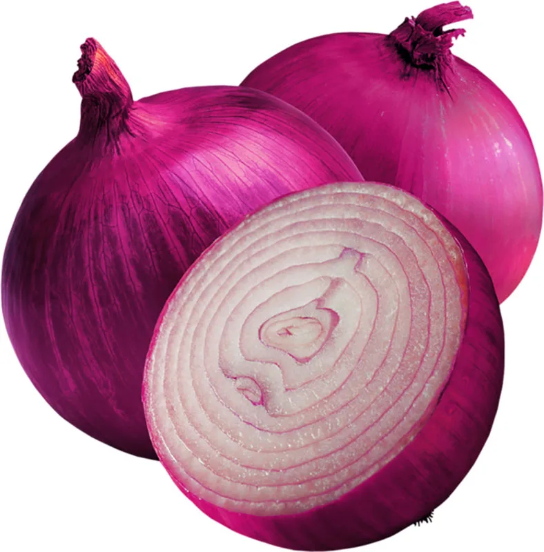 Egyptian Fresh Red Onion For Export