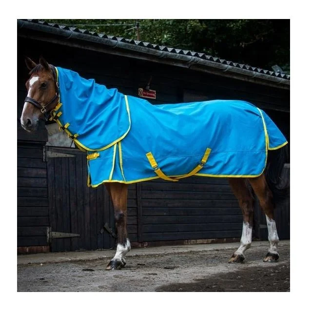 Wholesale Cotton Multicolor Horse Rugs Manufacturer