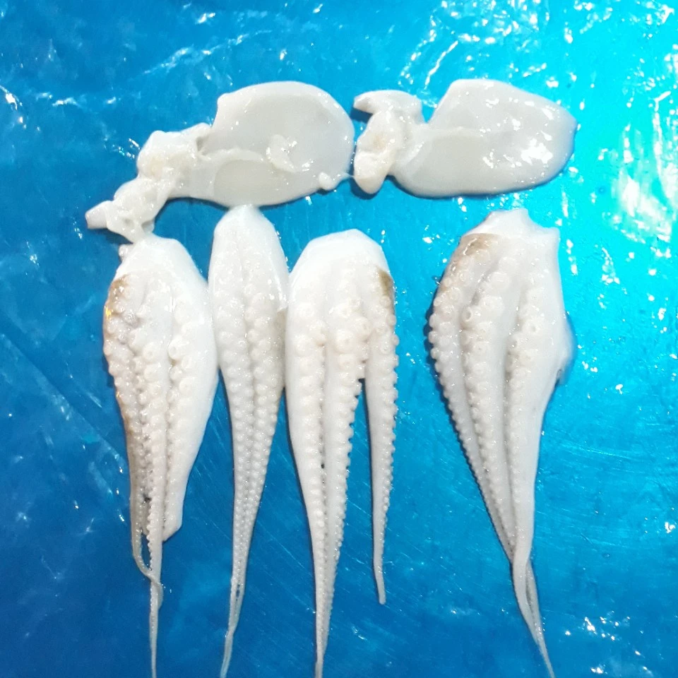 HIGH QUALITY - OCTOPUS CUT