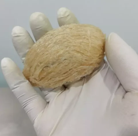 
Malaysia Premium Grade Edible Bird Nest / Cubilose / Te Ji Yuan Mi Zhan 