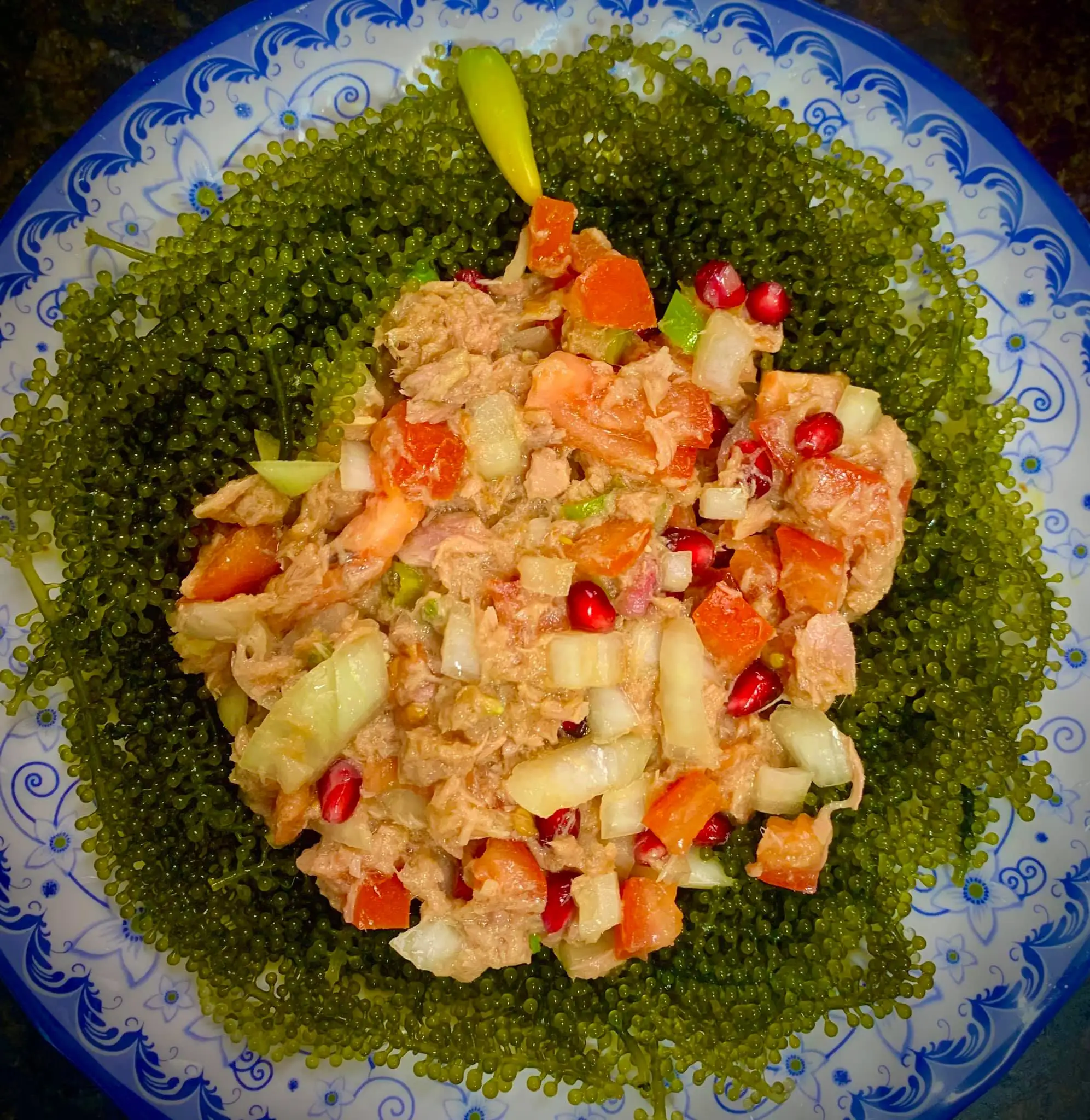 Grapes Lato/latok/Seaweed Sea From Vietnam for Exporting/ Ms. Julie +84 812208609