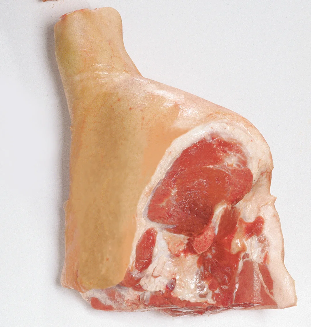 Quality Frozen Pork Meat / Pork Hind Leg / Pork Feet Available