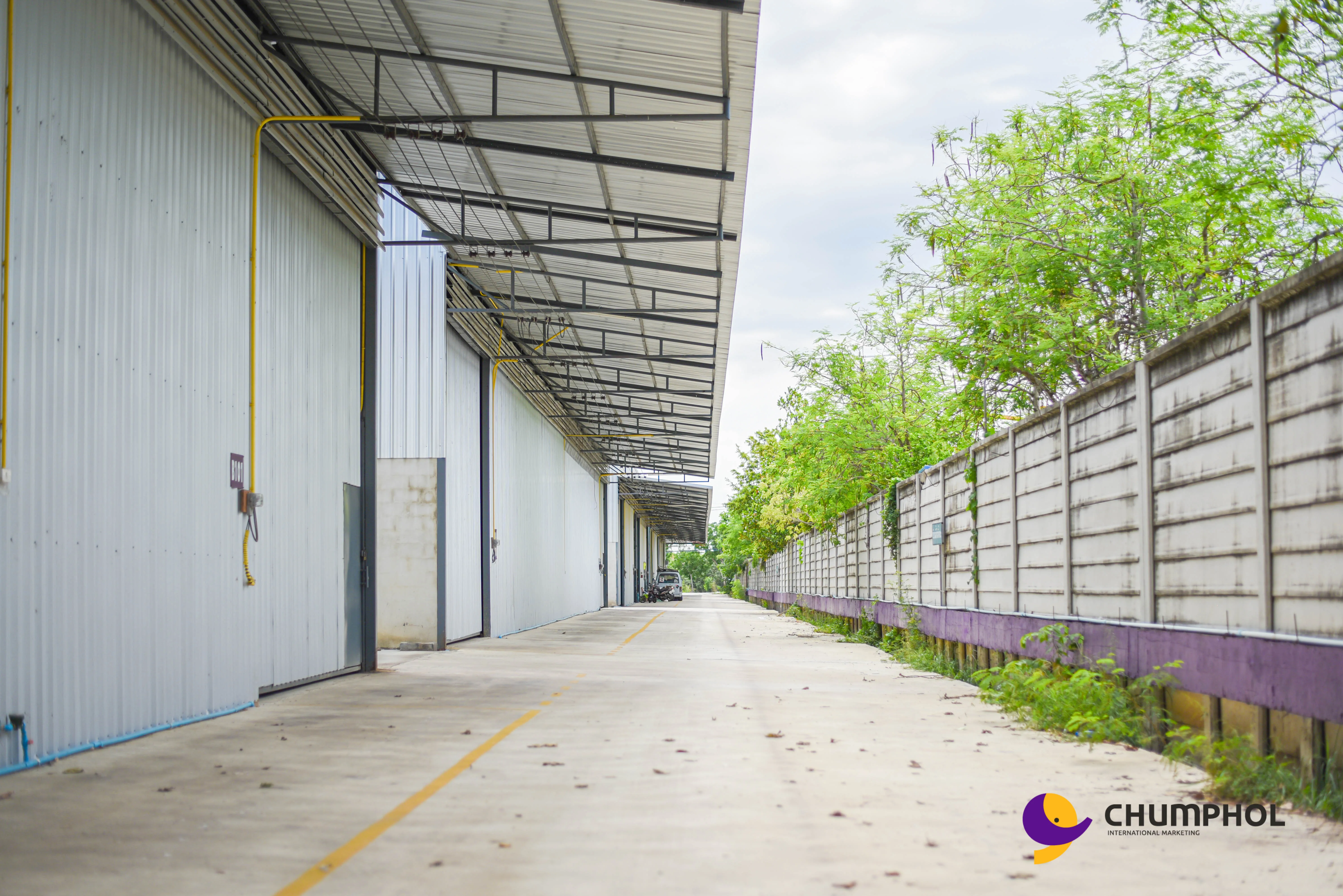 
High Raise Space Rent A Warehouse Land Steel Structure House Klong 5 Place In Thailand 