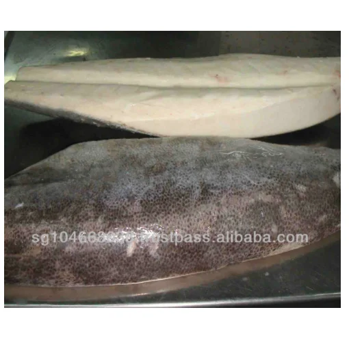 Frozen Fish Fresh Tilapia Supplier Block Bulk Style Packaging Package Weight Lbs Shelf Origin Latin Type Frozen Oilfish Fillets