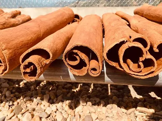 Vietnam Broken Round cut Cassia Vietnam Export Products broken Cinnamon Best Prices For Wholesale