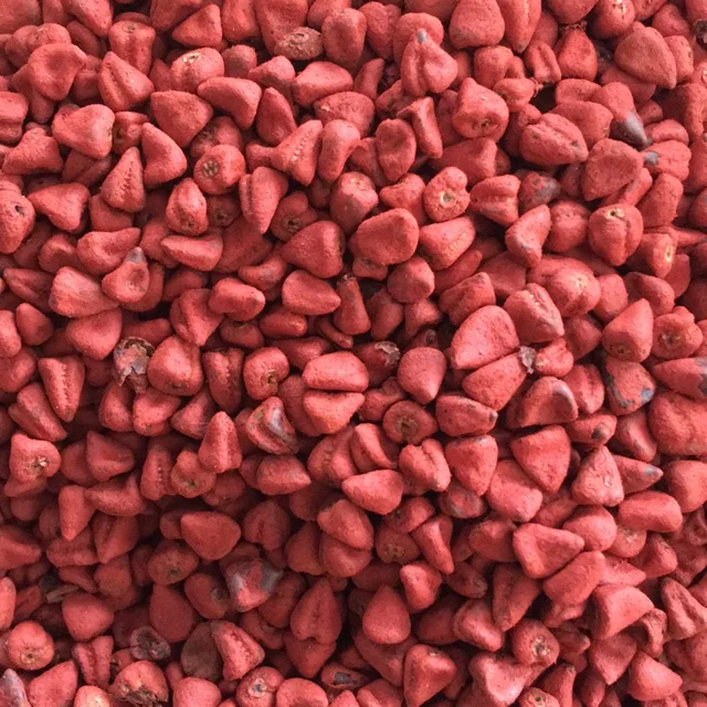 Вьетнамские Сушеные Семена Карри/семена Аннато/Красного кешью высококачественные контакты Ms. Нэнси Нгуен + 84 337 628 959