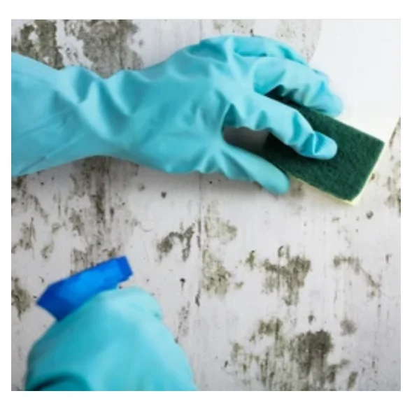 paint remover liquid