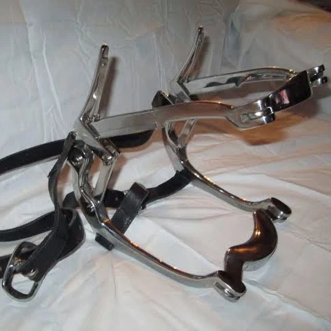 stainless steel jointed full cheek gags bit