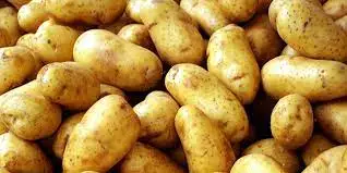 HIGH QUALITY Fresh Potatoes  - TURKEY (Antalya) 2022