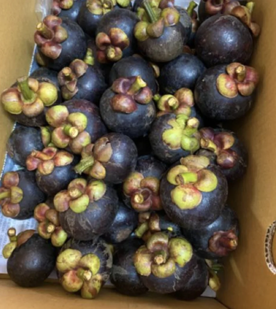 Fresh Natural MANGOSTEEN Premium Grade From Thailand
