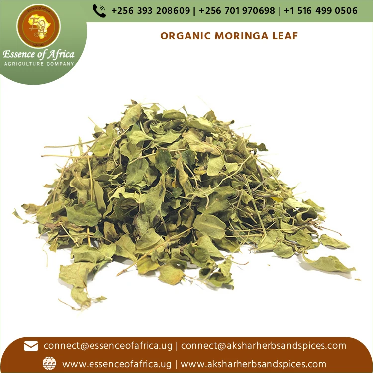 100% Organic High Quality Moringa Oleifera Plant Leaves Natural Moringa Leaf Herbal Tea Supplement for Extract  Non-GMO