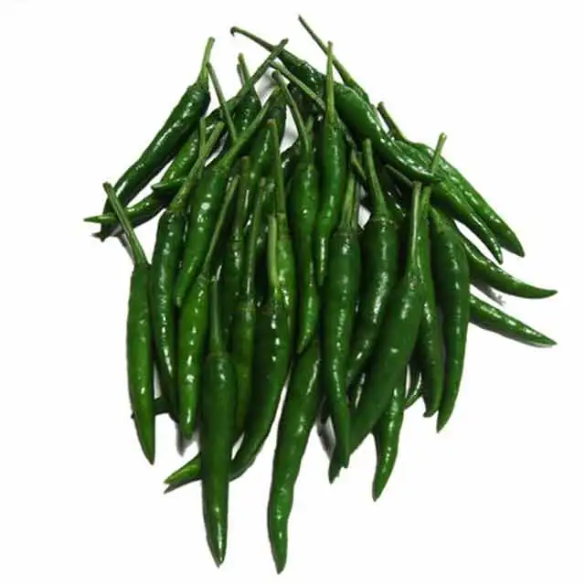 Gap, HACCP, ISO Certification High Quality 100% natural Products Best Price Hot Selling Green Fresh Chili from Uzbekistan