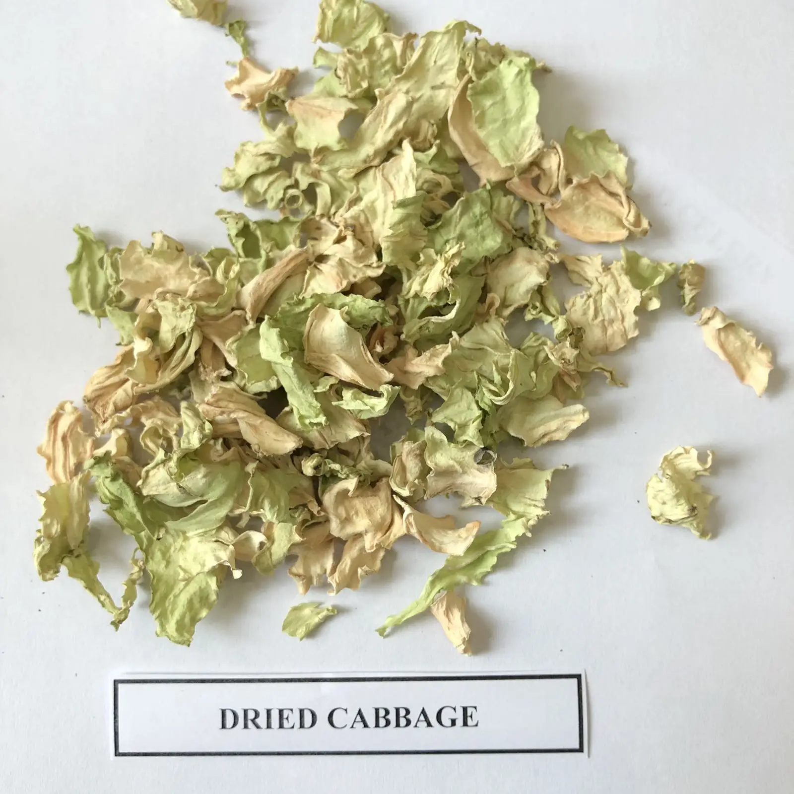 Dried Cabbage/ Dehydrated Cabbage High Quality for Cooking - WS 0084 989322 607