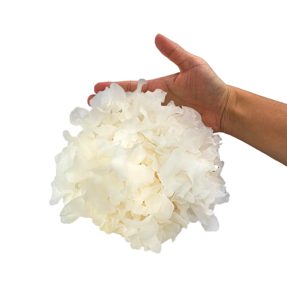 frozen pesticide free fresh white snow fungus for Vegetarian food