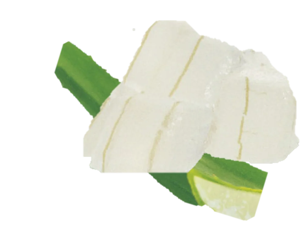 High Quality Delicious, Good texture Aloe Vera Cubes in Light Syrup from Dole, Bulk Supply, FSC 22000 certified
