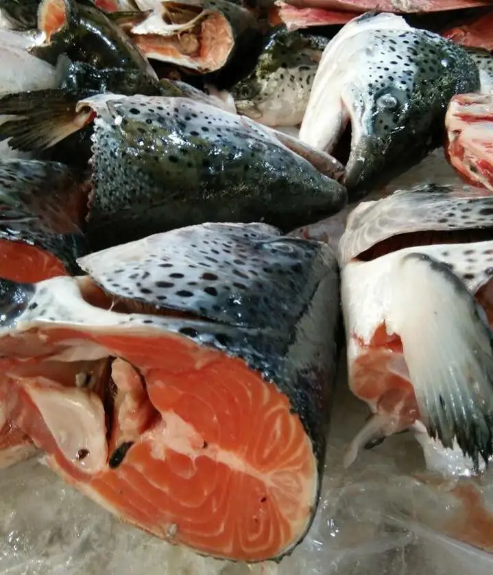 Качественная свежая и замороженная головка лосося оптовая