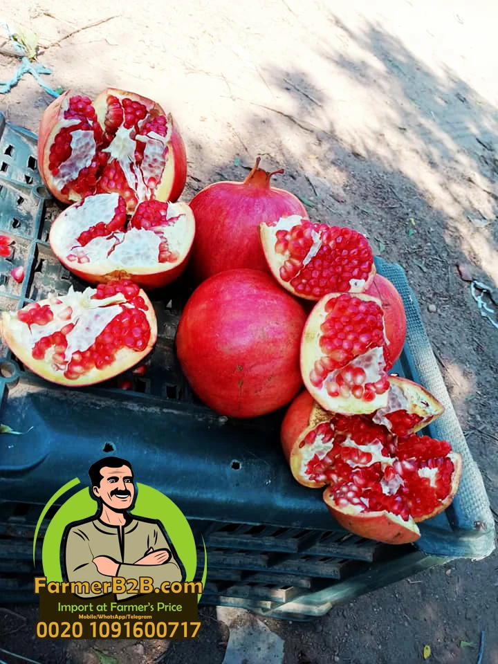 Свежие гранатовые фрукты премиум-класса wonderful-116 (Непревзойденная цена)
