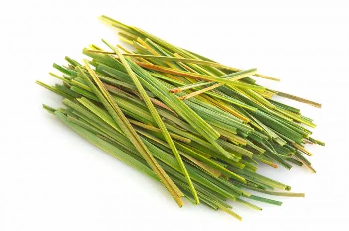 lemongrass good color no ash content no admixture no dark leaves no impurities fresh crops Cymbopogon