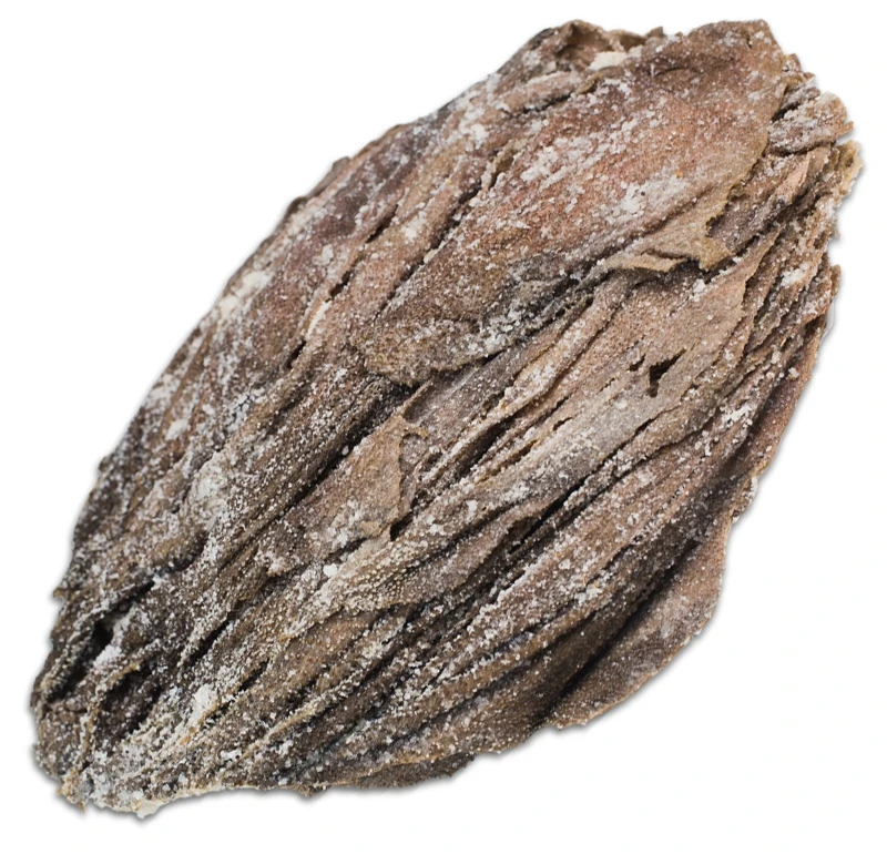 Wholesale Beef Frozen Omasum / Dry salted omasum Frozen Beef / Frozen beef tripe, frozen cow stomach, beef tripes cleaned