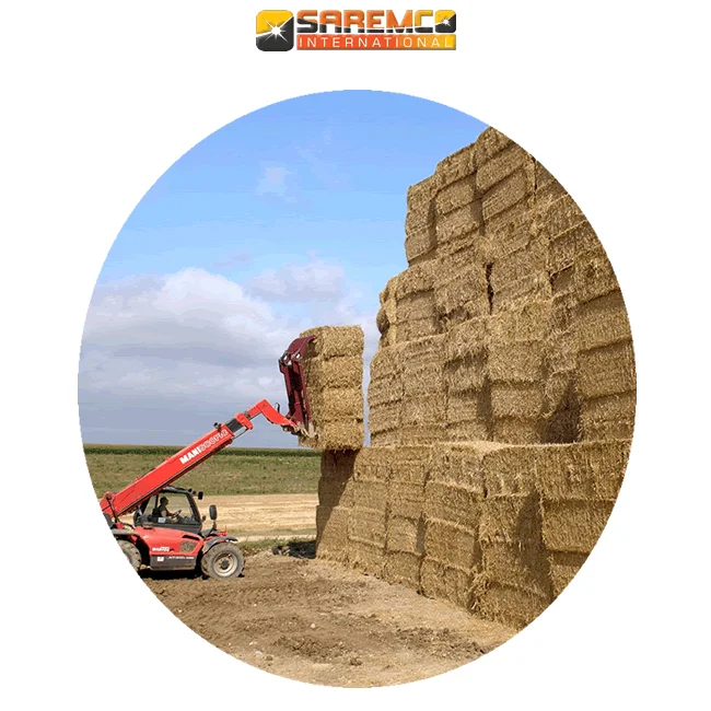 Best Quality Rice Straw Hay For Animal Forage / Bulk Quantity CFR Delivery