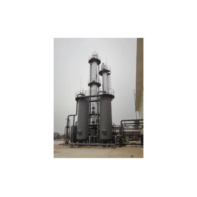 Dry and Wet Anaerobic Biogas-Nature Gas Conversion Plant Upgrading/Decarburization/Purification System