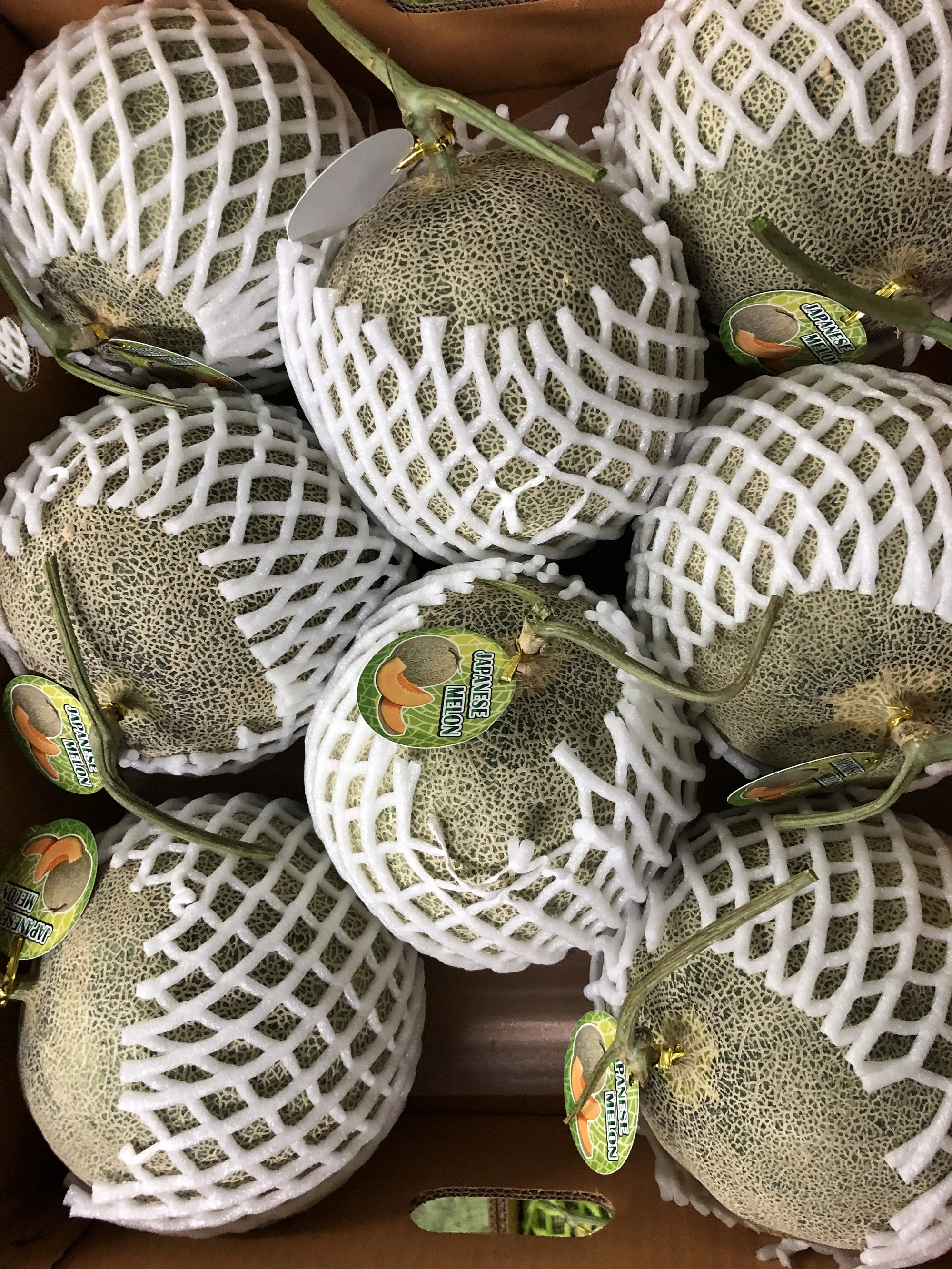 EWC Farrmer From Thailand Tropical Fruit Fresh Melon Orange Meat OML001 Sweet Taste