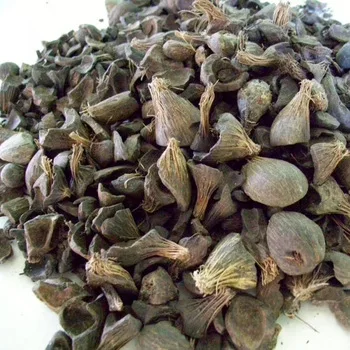 palm kernel shell