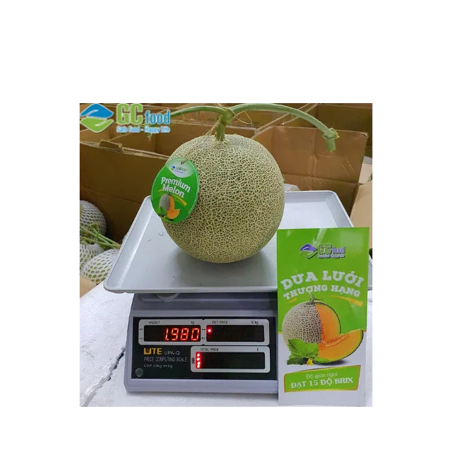 Импорт и экспорт свежей сладкой дыни-100% зрелой дыни органический натуральный из