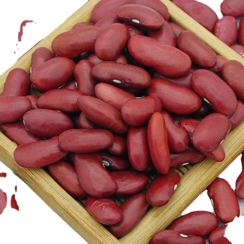 Red Kidney Beans  Yunnan Red Kidney Beans For Canned Purple Kidney Bean for sale