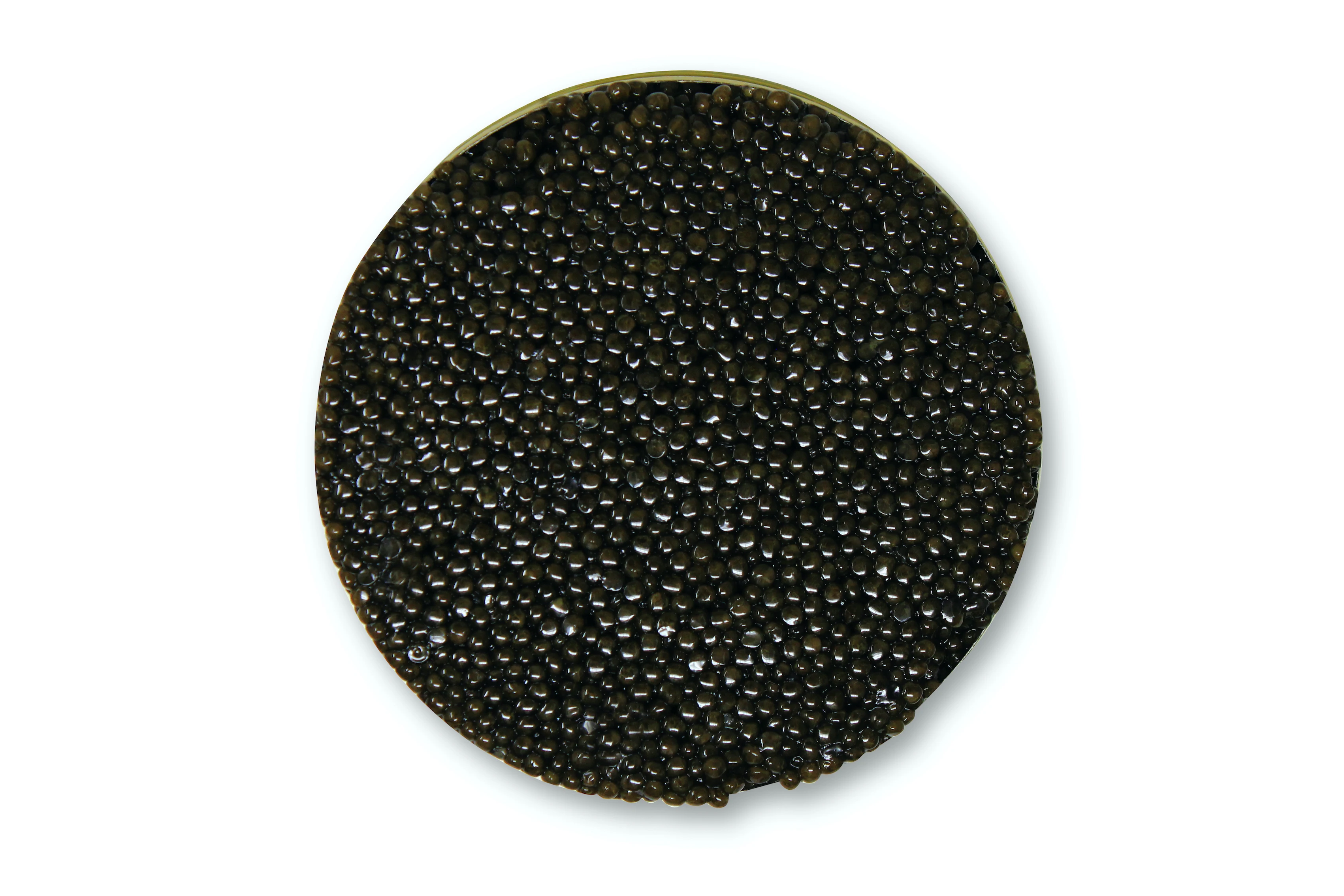 Italian Sustainable Siberian Sturgeon Caviar Malossol 250gr Tin