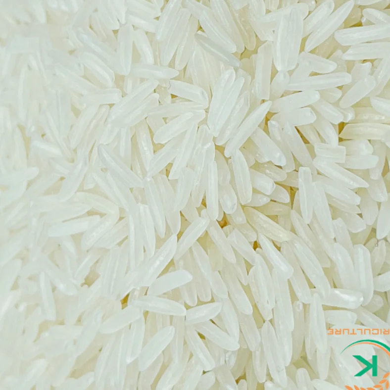 Чистый и здоровый рис ST24 Вьетнам экспорт по лучшей цене