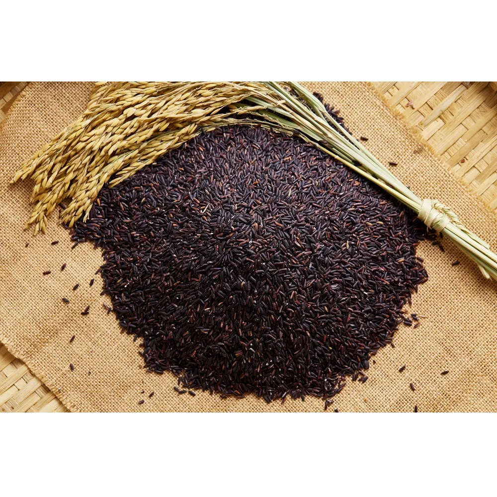
Wholesale Crop 2020 Healthy Thai Dried Aromatic Rice Berry Organic With Common Cultivation Type 
