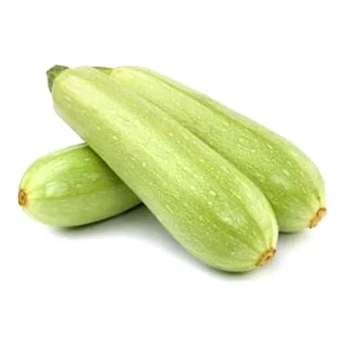 Green Squash    White Zucchini