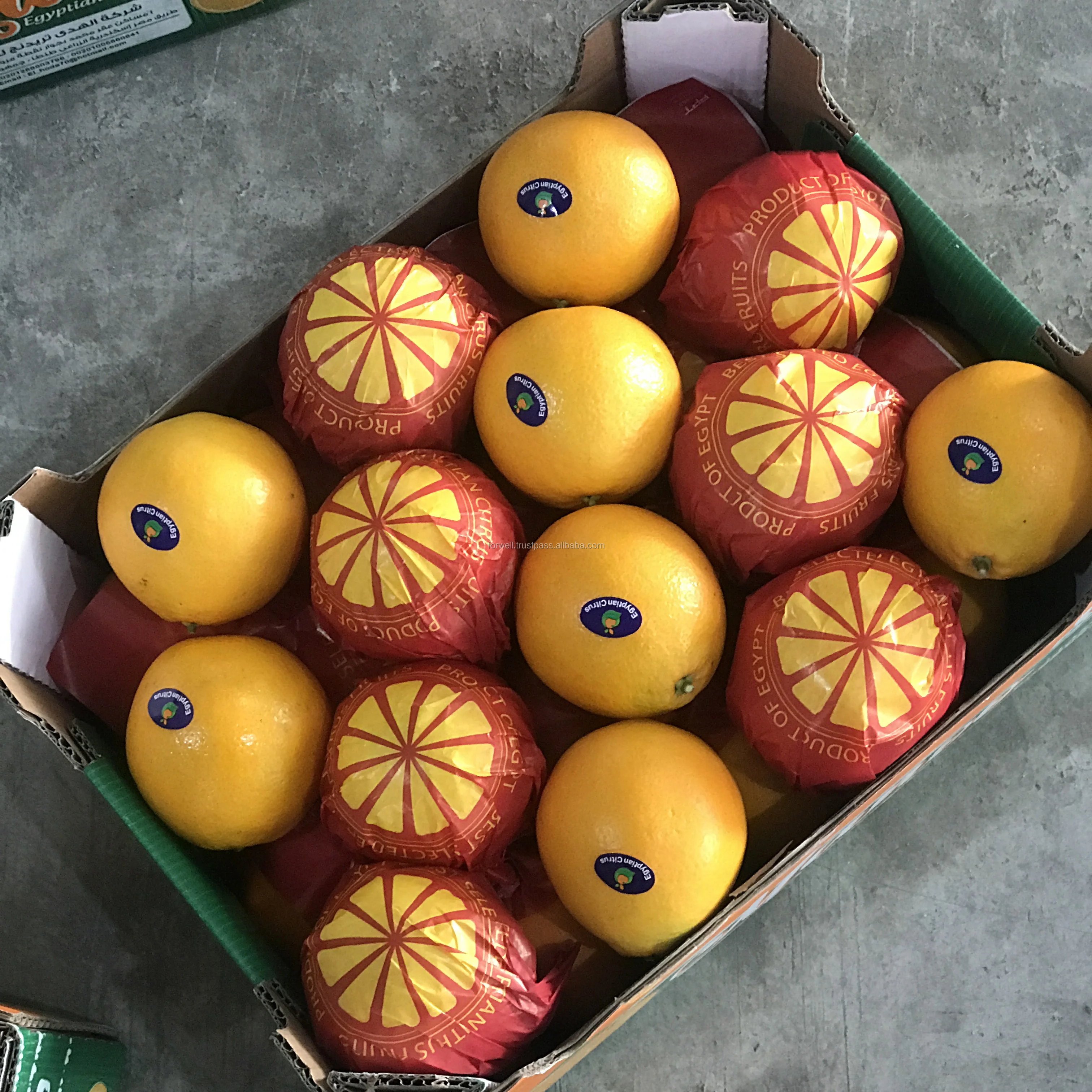 100% pure juice Valencia orange  from Egypt for sale