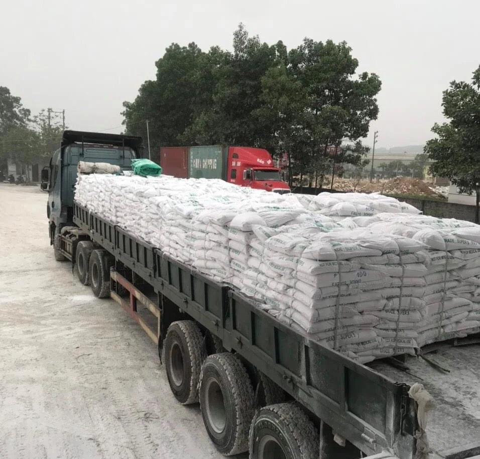 Powder Manufactures  Powder Manufactures Direct Supply Calcium Carbonate CaCo3 made in Vietnam