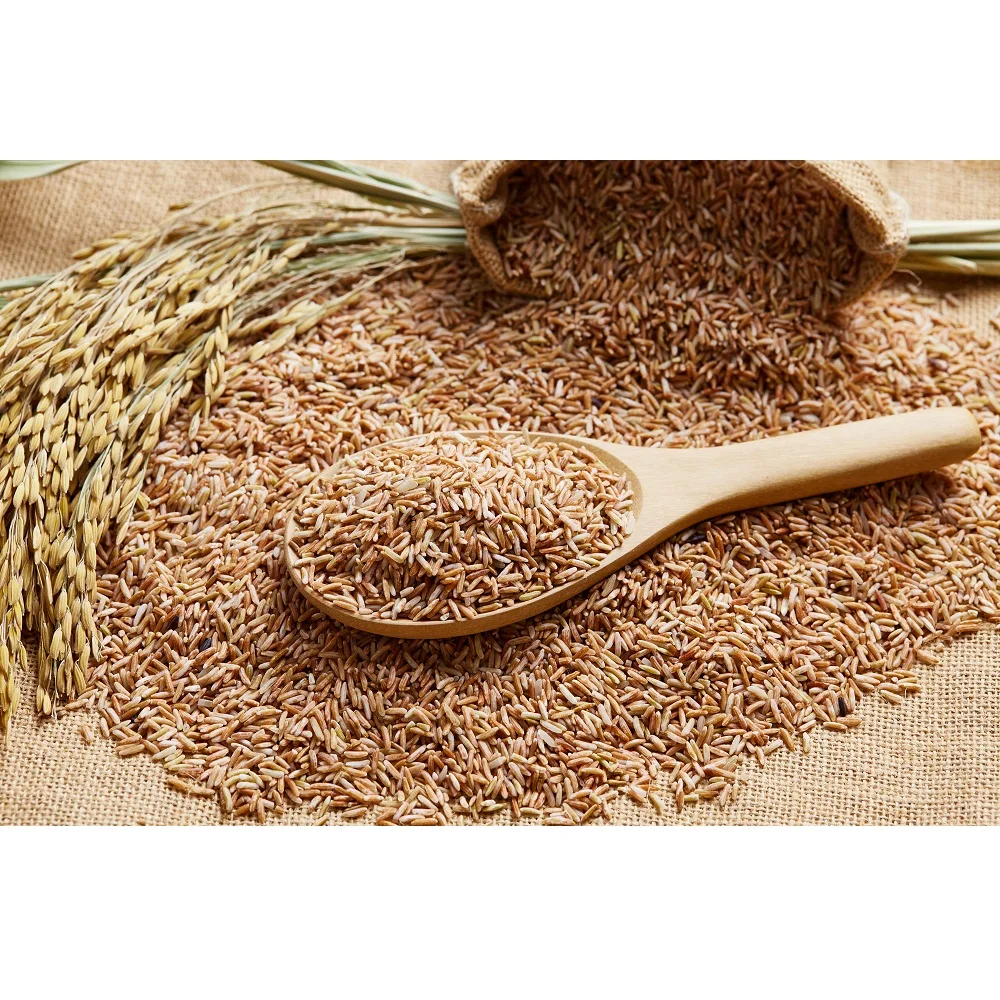 
Wholesale Brown Dried Thai Tubtim Chumphae Rice With Hard Texture And Common Cultivation Type 