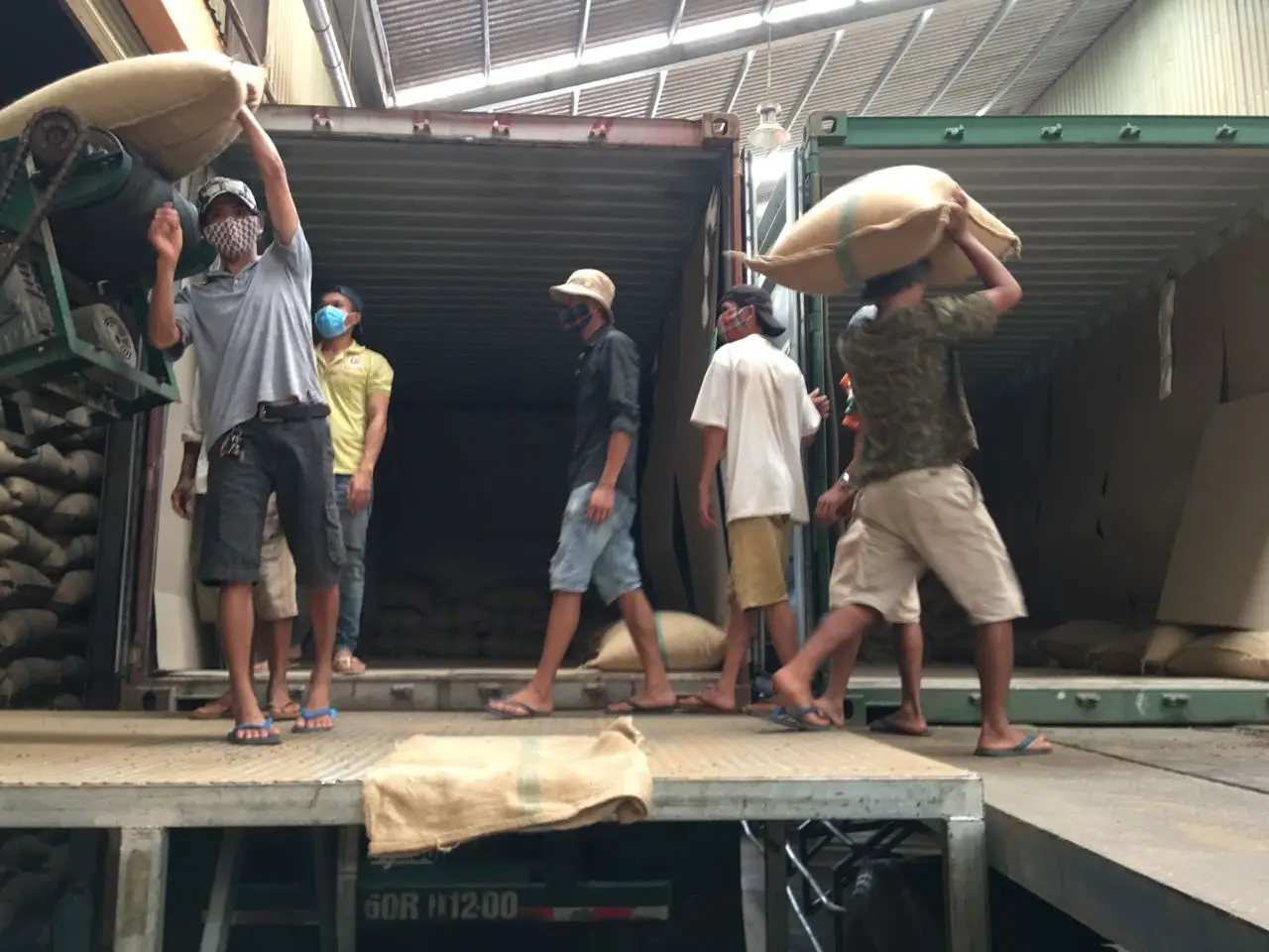 Green Coffee Factory (1)