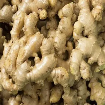 fresh ginger / air dried ginger for sale