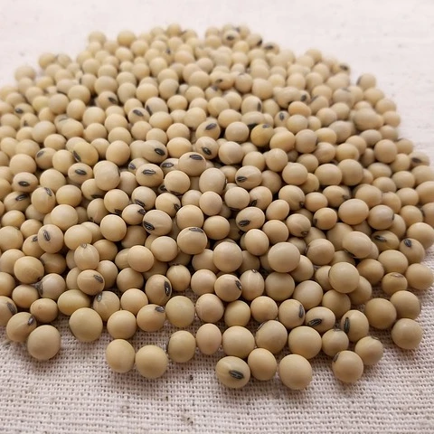 
Blended Vegetable Oil: Soybean Oil And Palm Oil 