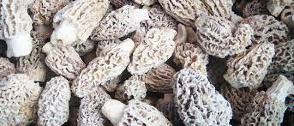 Низкая цена оптовая продажа высококачественные долговечные замороженные грибы-Сделано в