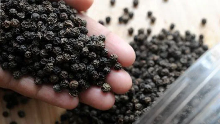 [Autumn Season] Single Spices Best Price High Grade Quality Black Pepper From Vietnam
