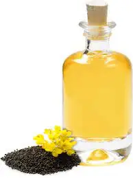 Ukraine Rapeseed Oil Unique Premium Bulk Canola Oil Prices and Canola Oil Wholesale