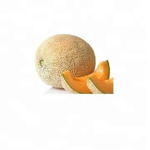 
Orange Fresh Muskmelon Fresh Melon for sale 
