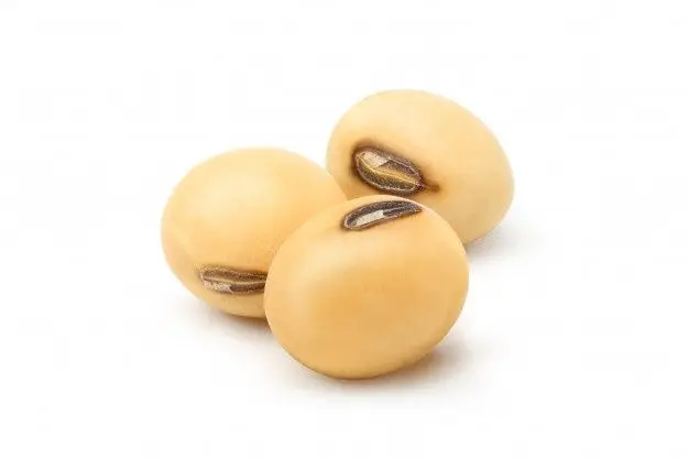 Non GMO Soybeans and Soybeans / Soya Beans Seed