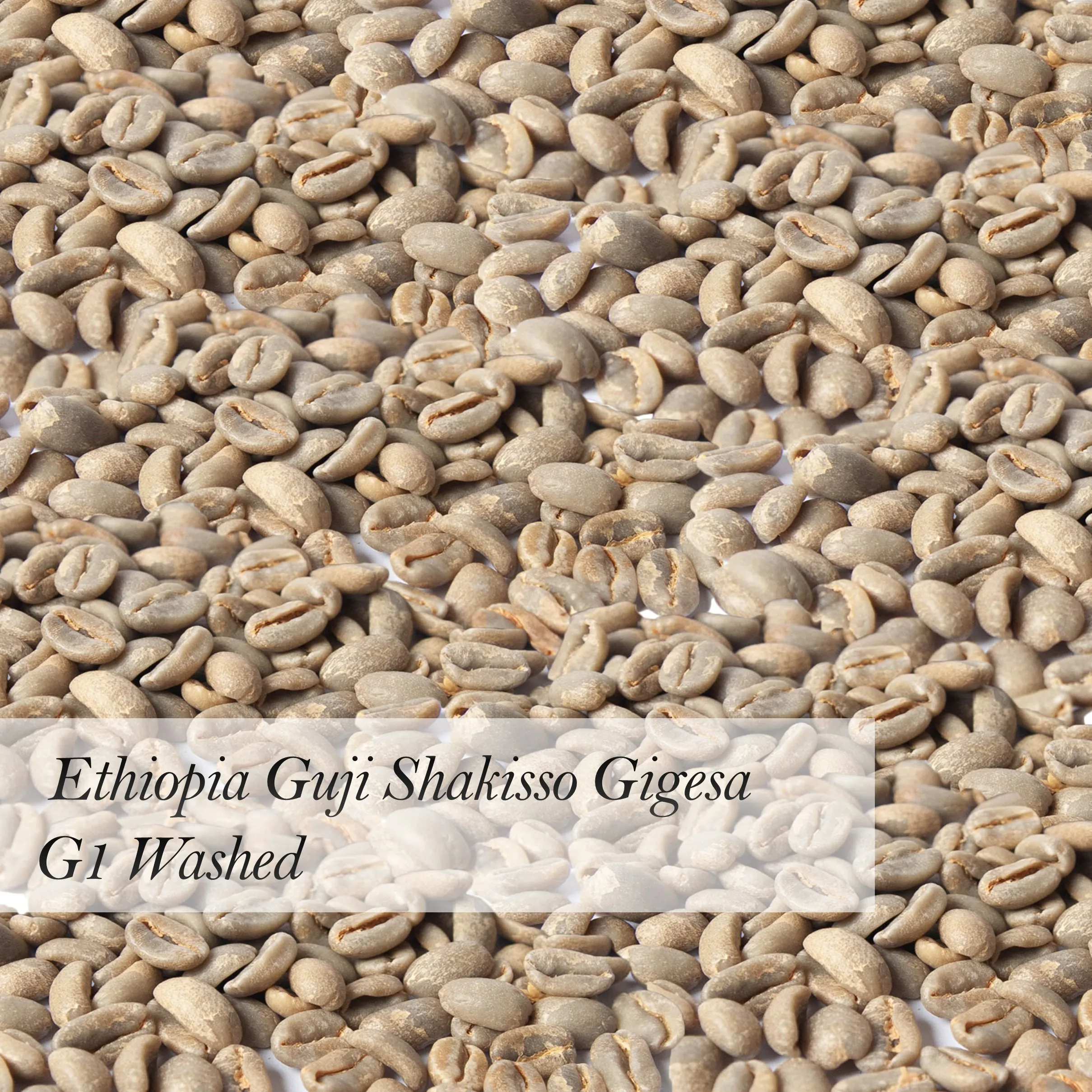 
Ethiopia Guji Shakisso Gigesa G1 Washed High Quality Arabica Green Coffee Beans Wholesale 