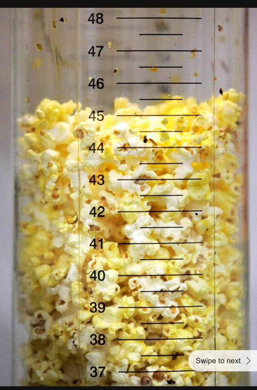 Popcorn Maize Grain Ukraine Origin Popped Corn