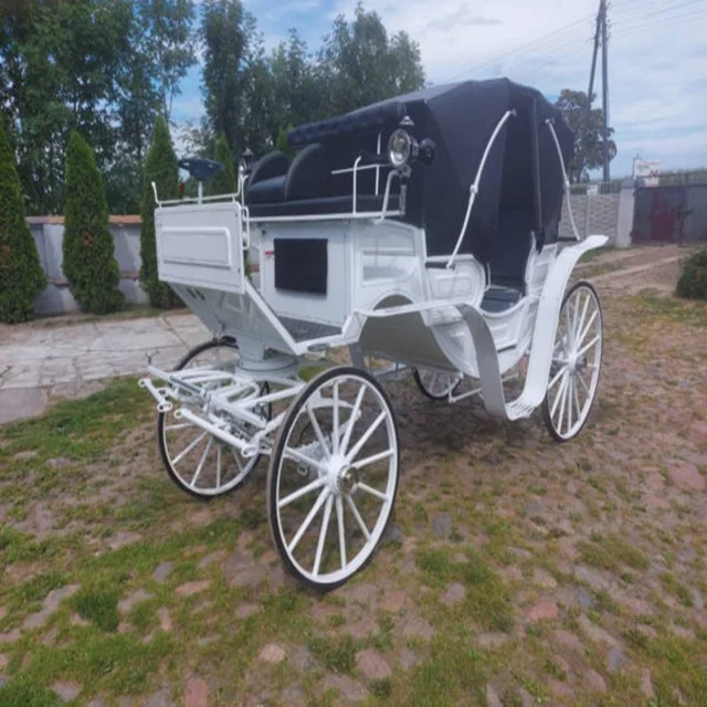 
White electric carriage 2000w 40ah 